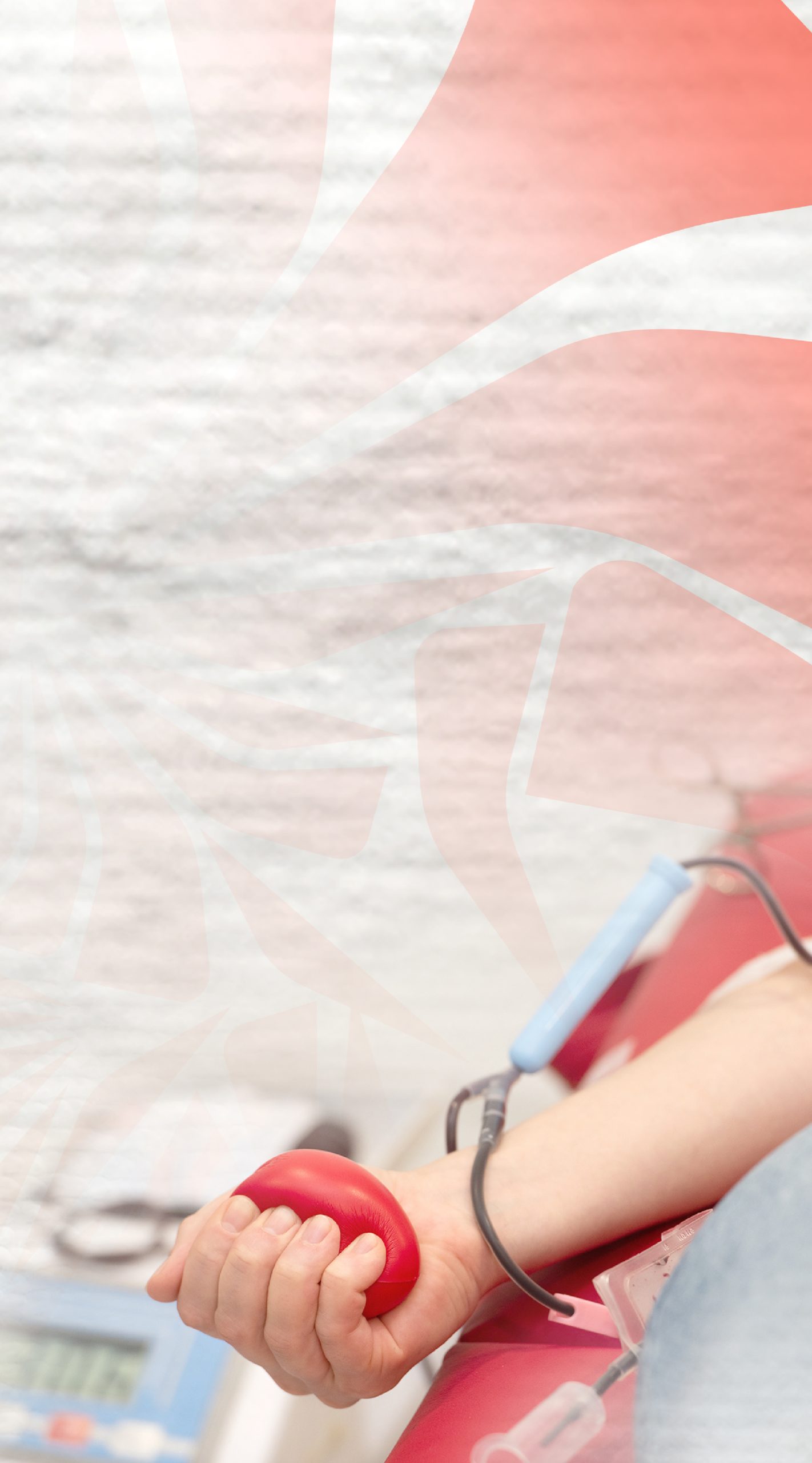  - Tietê Plaza Shopping